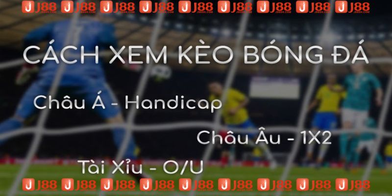 cách đọc tỷ lệ kèo